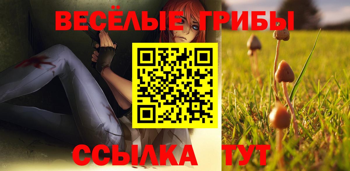 Янаул  Галлюциногенные грибы Magic Shrooms  Вход с VPN 
